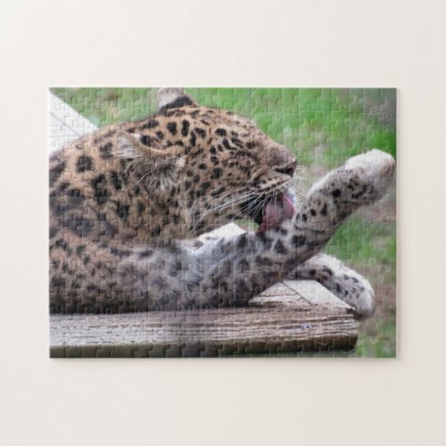 Amur Leopard Puzzle