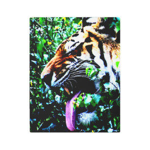 Amur Tiger 11x14 (27.5x35cm) wamecnm Metal Print