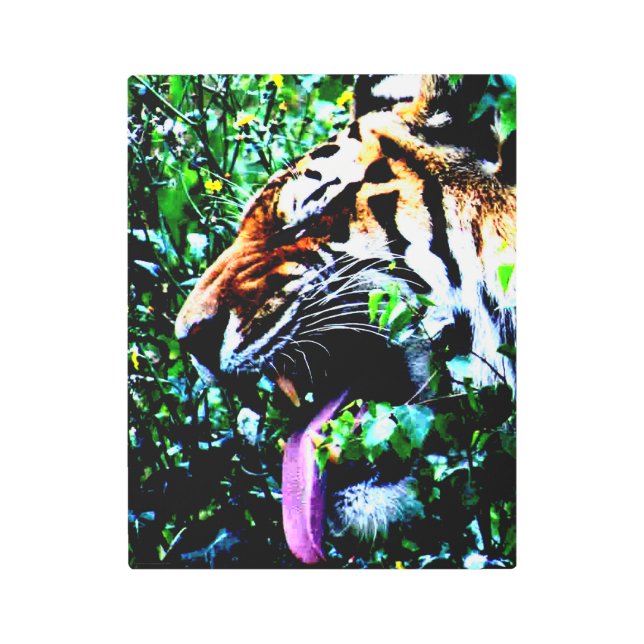 Amur Tiger 11x14 (27.5x35cm) wamecnm Metal Print (Front)