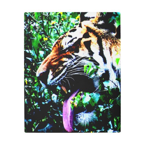 Amur Tiger 16x20 40x50cm wamecna Metal Print