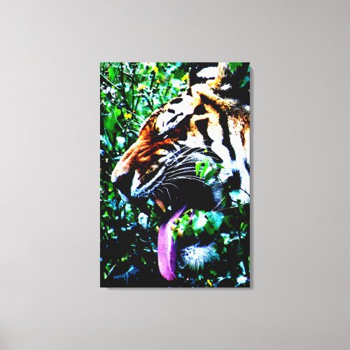 Amur Tiger 24x36 60x90cm waccna Canvas Print