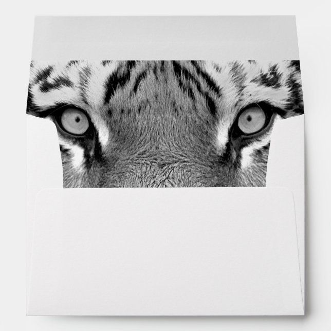 Amur Tiger #4 Envelope (Back (Bottom))