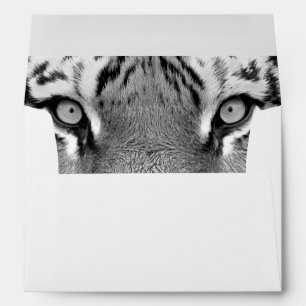 Amur Tiger #4 Envelope