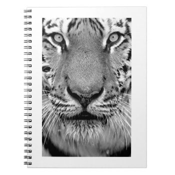 Amur Tiger#4-notebook Notebook by rgkphoto at Zazzle
