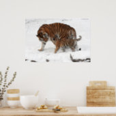 Amur tiger and Cub Poster (Kitchen)