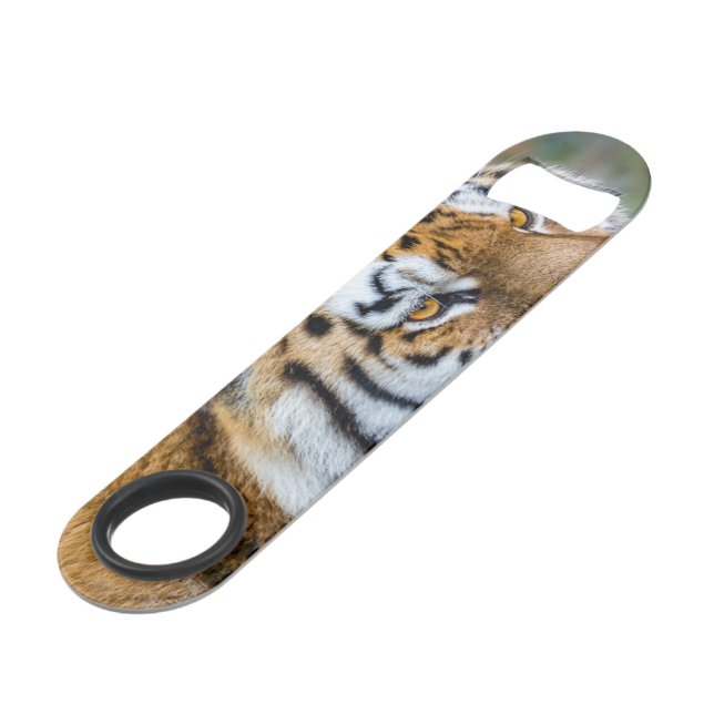 Amur tiger bar key (Back Angled)