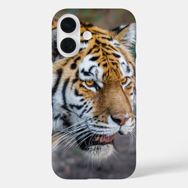 Amur tiger Case-Mate iPhone case (Back)