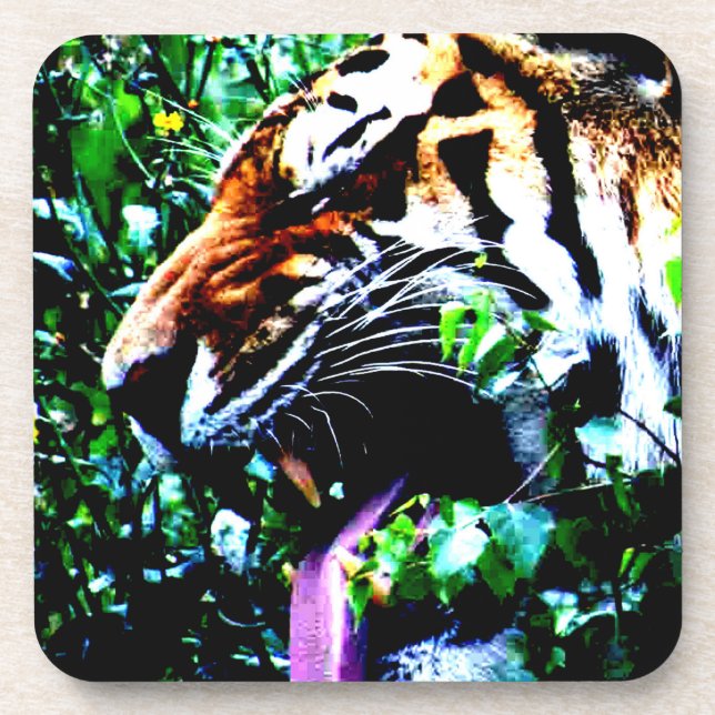 Amur Tiger coastercna Beverage Coaster (Front)
