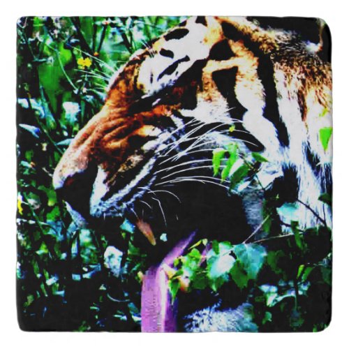 Amur Tiger coastercna Trivet