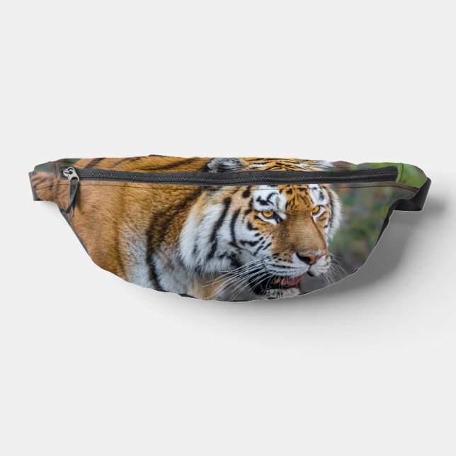 Amur tiger fanny pack (Lay Down)