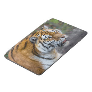 Amur tiger iPad mini cover