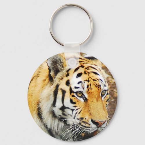 Amur Tiger Keychain