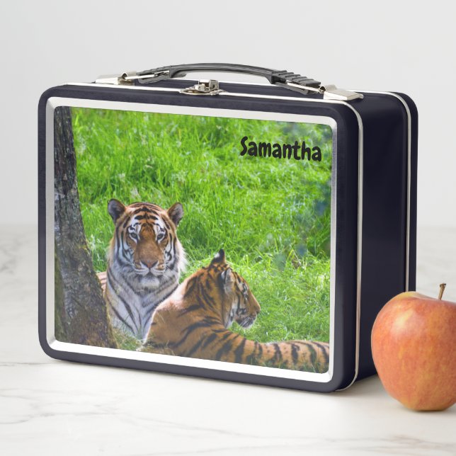 Amur Tiger Metal Lunchbox (In Situ)