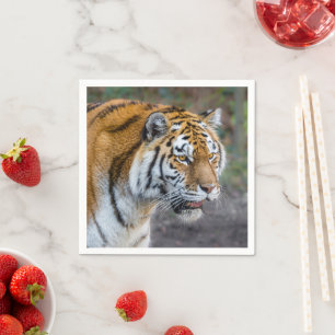 Amur tiger napkins
