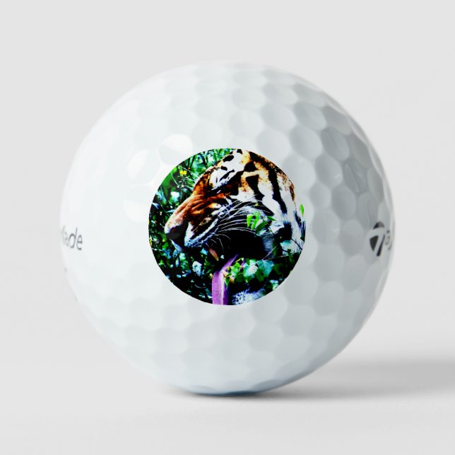 Amur Tiger tmtp5 gbcna Golf Balls (Front)