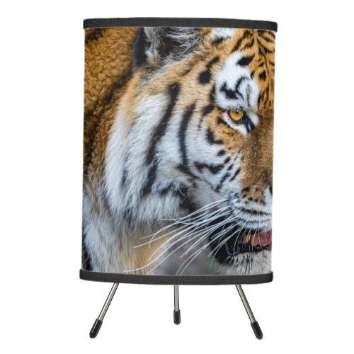 Amur tiger tripod lamp