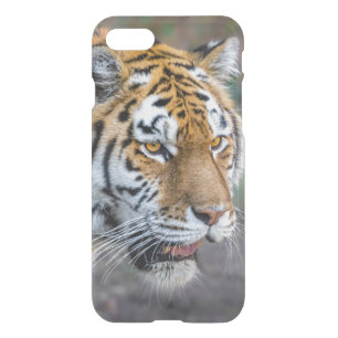 Amur tiger iPhone SE/8/7 case