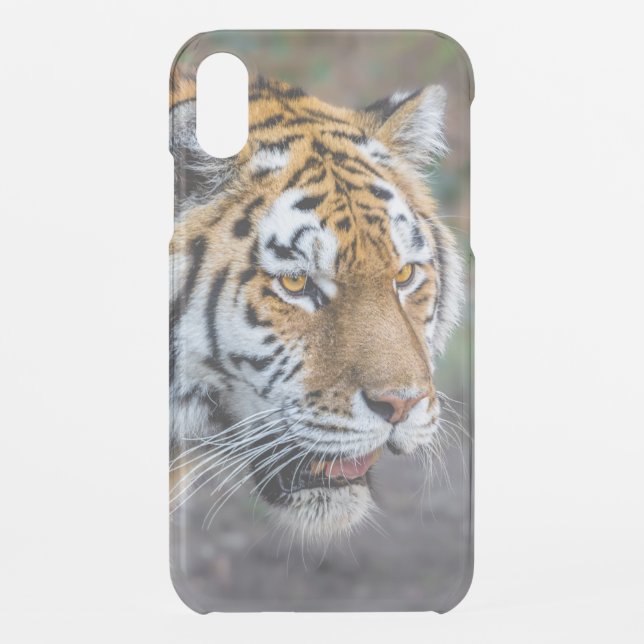 Amur tiger uncommon iPhone case (Back)