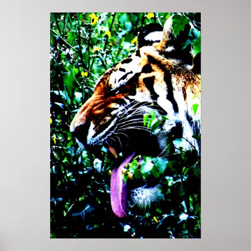 Amur Tiger wapcna Poster