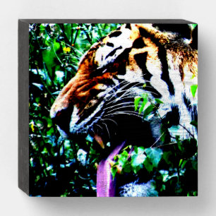 Amur Tiger wbs6x6cna Wooden Box Sign