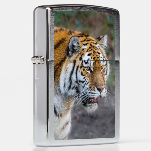 Amur tiger Zippo Lighter