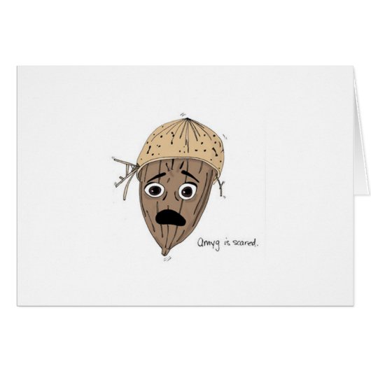Amygdala Cards (Front Horizontal)