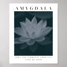AMYGDALA - LOTUS FLOWER, Gray Palette, Vintage