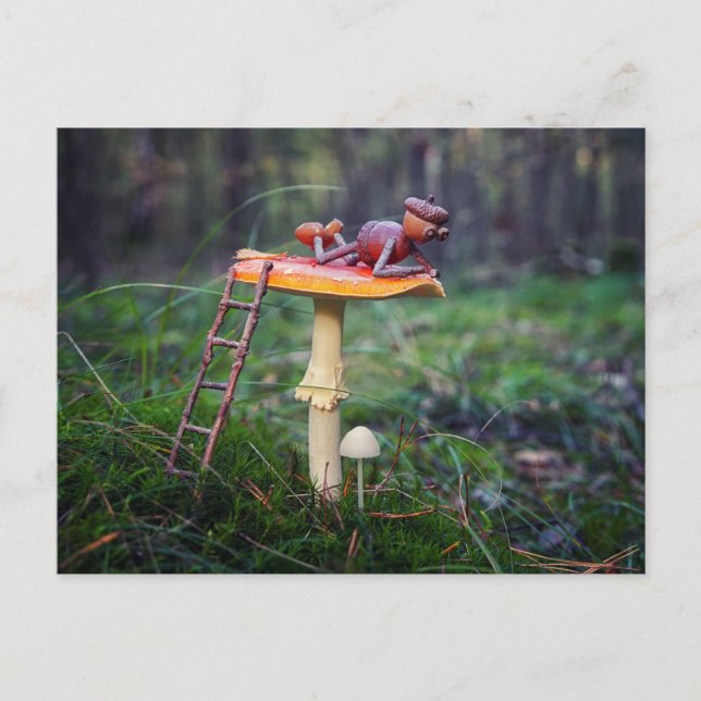 An acorn elf is resting on a mushroom postcard (Front)