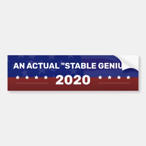 AN ACTUAL STABLE GENIUS Political Campaign Bumper Sticker