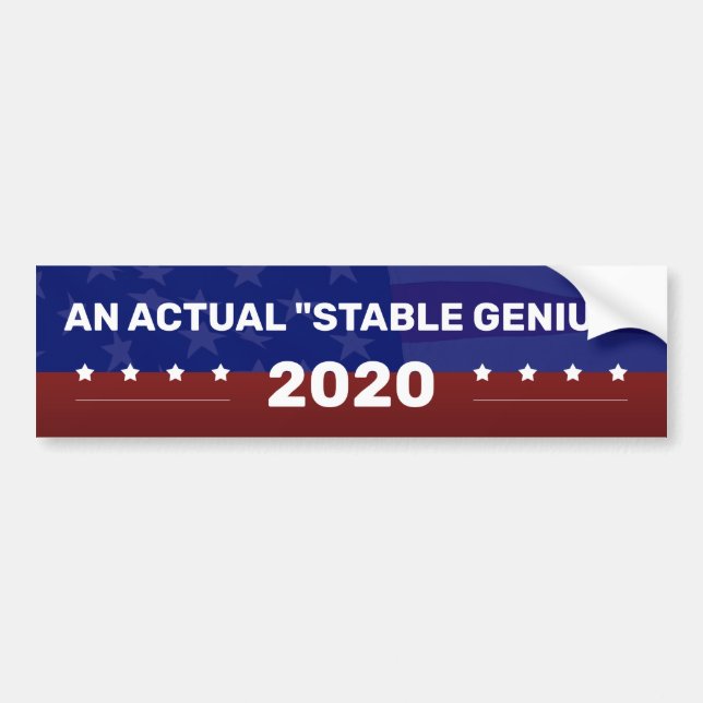 AN ACTUAL "STABLE GENIUS" Political Campaign Bumper Sticker (Front)