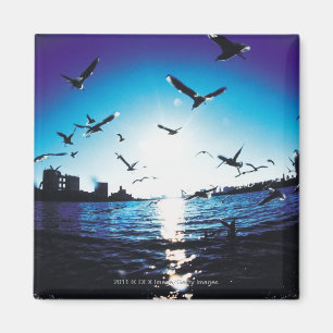 An aerial fisheye lens view of Tokyo Bay, Japan Magnet
