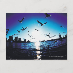 An aerial fisheye lens view of Tokyo Bay, Japan Postcard