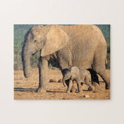 An African Elephant mother and calf on the move Jigsaw Puzzle