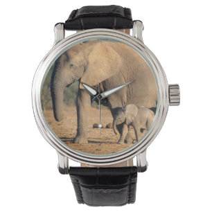 An African Elephant mother and calf on the move Watch