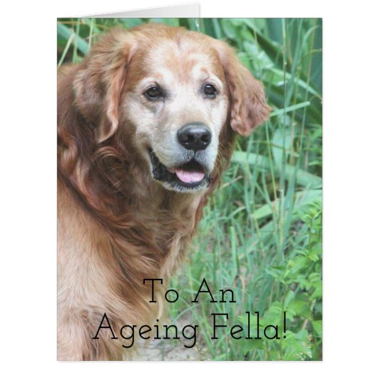 An Ageing Fella Birthday Greeting Cards (Front)