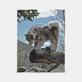 An Alaskan Malamute that goes by the name, Uzi Fleece Blanket