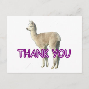 An alpaca "Thank You" card