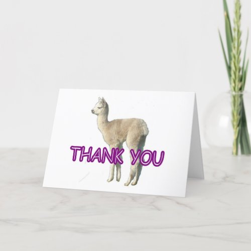 An alpaca Thank You card