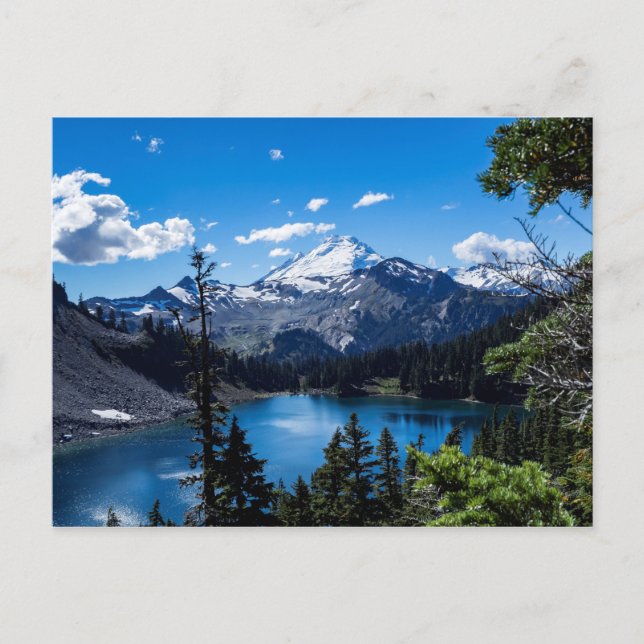 An alpine view of Mt Baker from Baker Lake. Postcard (Front)