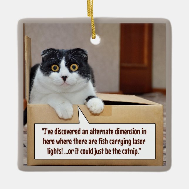 An alternate dimension ceramic ornament (Front)