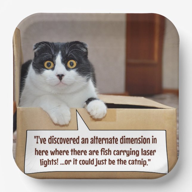 An alternate dimension paper plates (Front)