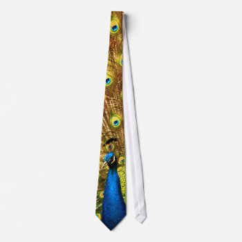 An Amazing Peacock Tie!  Click On This One!! Neck Tie by Jubal1 at Zazzle