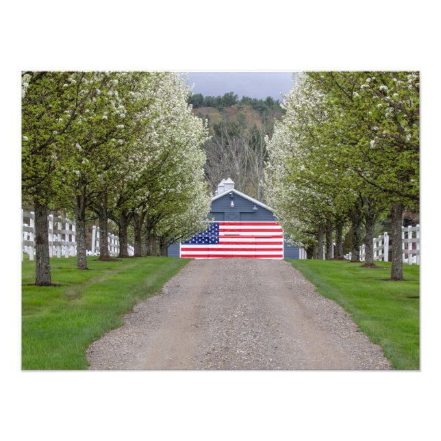 An American Farm Photo Print (Front)