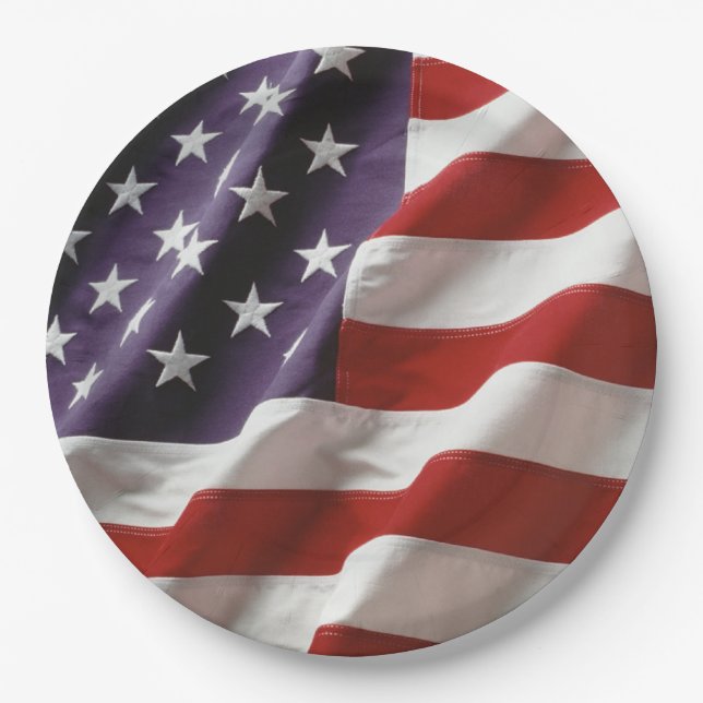 AN American Flag - USA Paper Plates (Front)