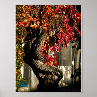 An Ancient Being Poster