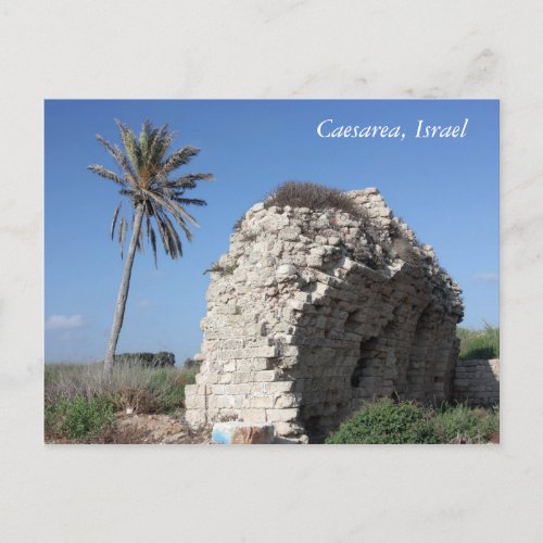 An ancient wall with a Palm tree Caesarea Israel Postcard