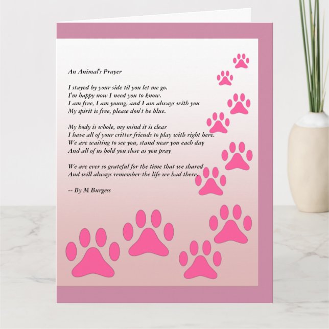 An Animal's Prayer - Card (Front)