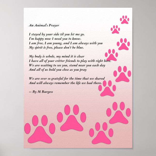 An Animal's Prayer - Pink Paws - Poster (Front)