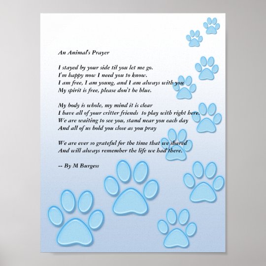 An Animal's Prayer - Poster | Zazzle.com