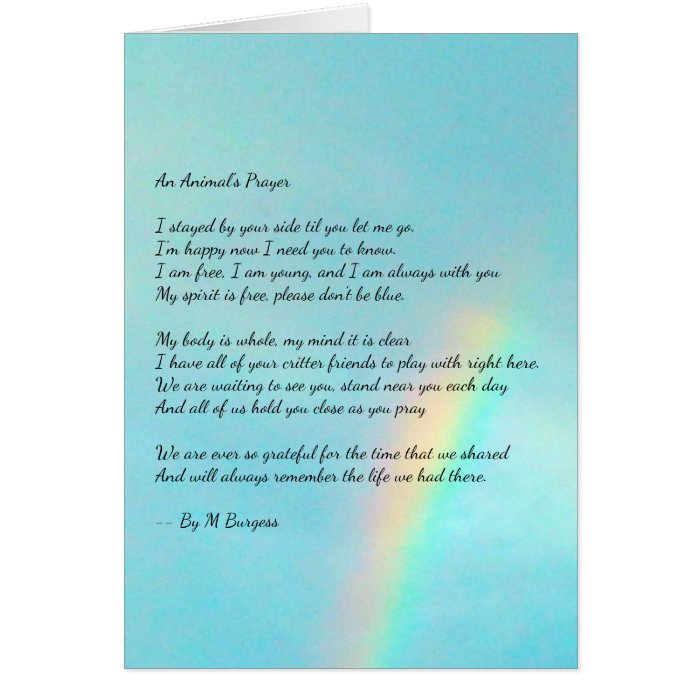 An Animal's Prayer - Rainbow - Card | Zazzle